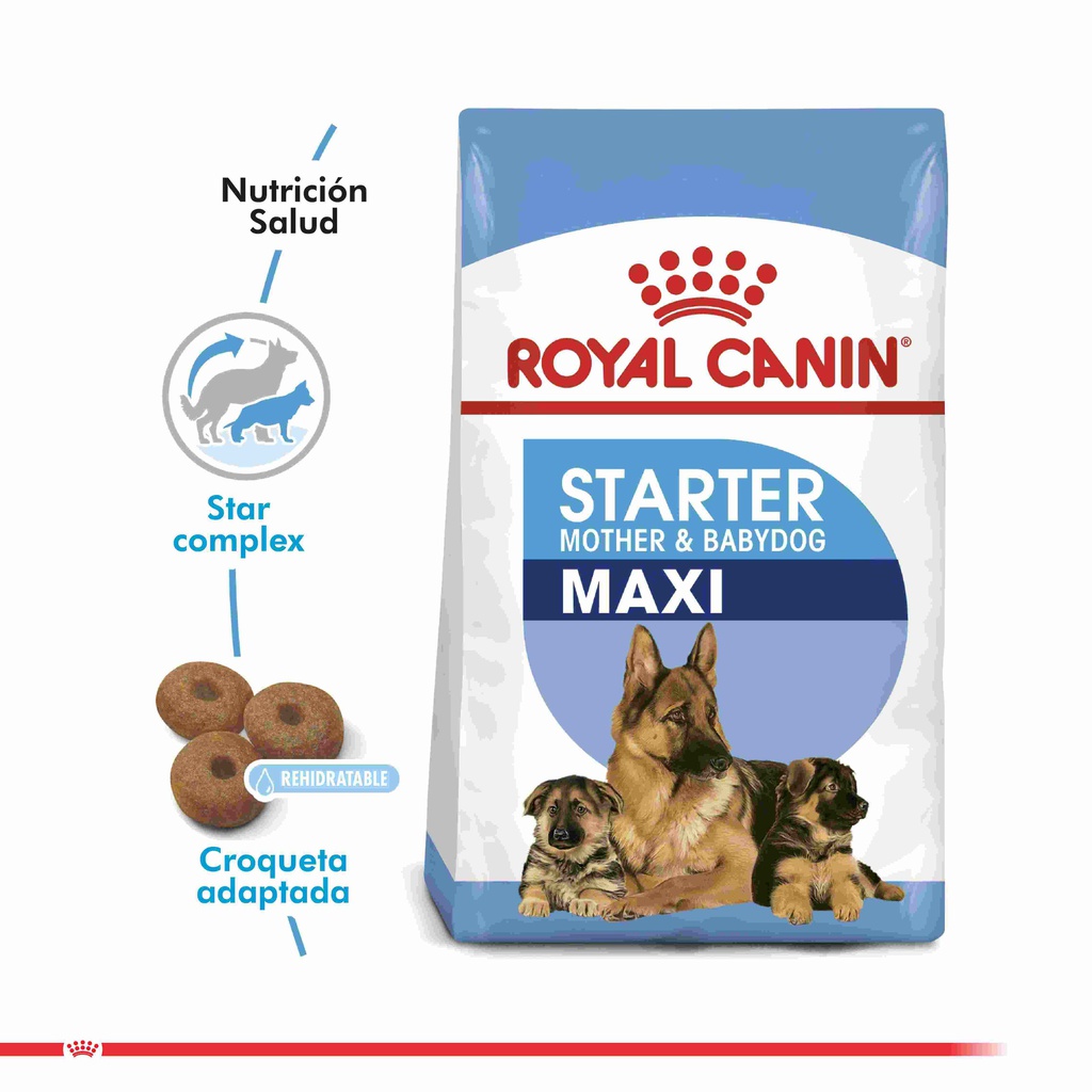 Royal Canin Maxi Starter 10kg