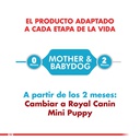Royal Canin Mini Starter 3kg