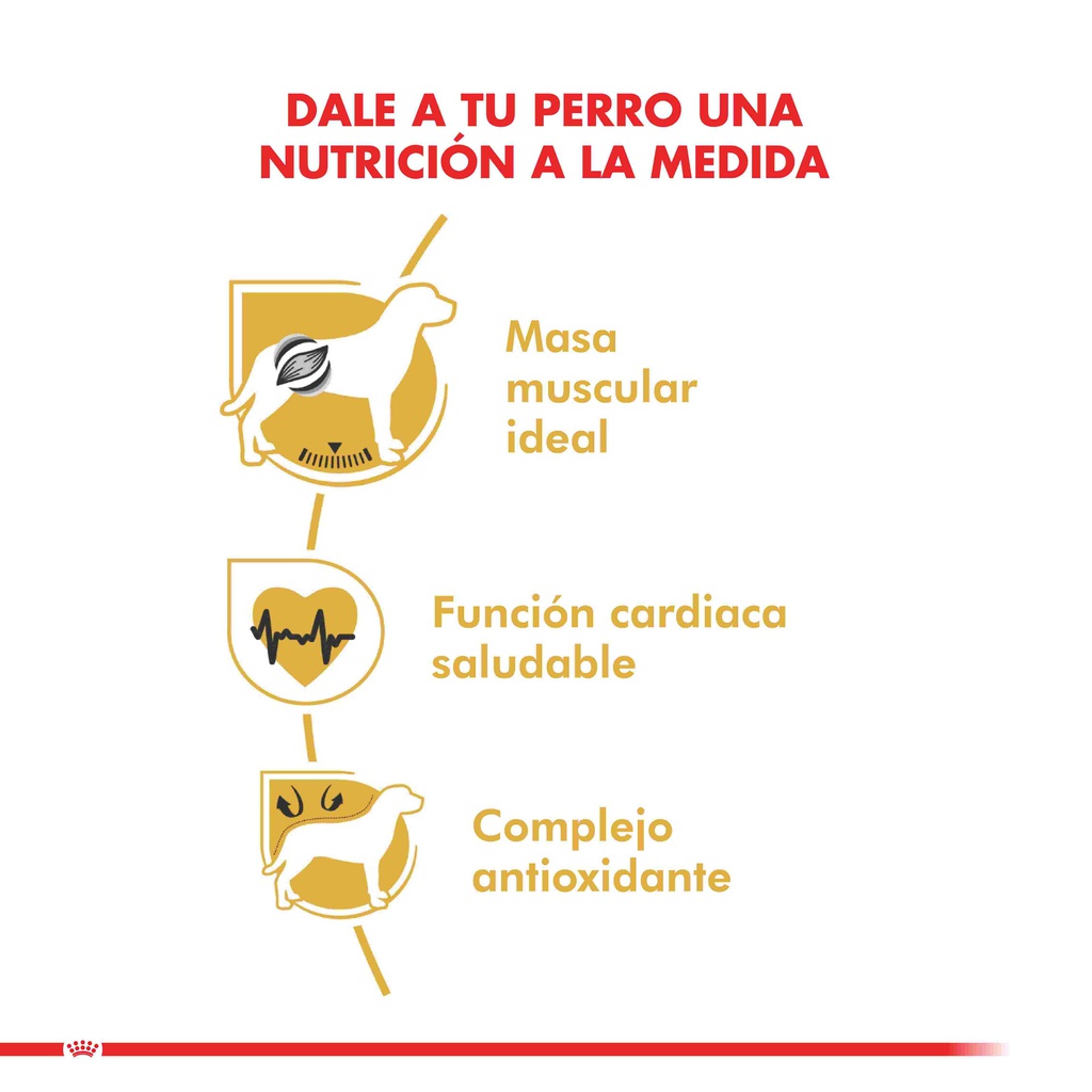 Royal Canin Boxer Adult 12 Kg