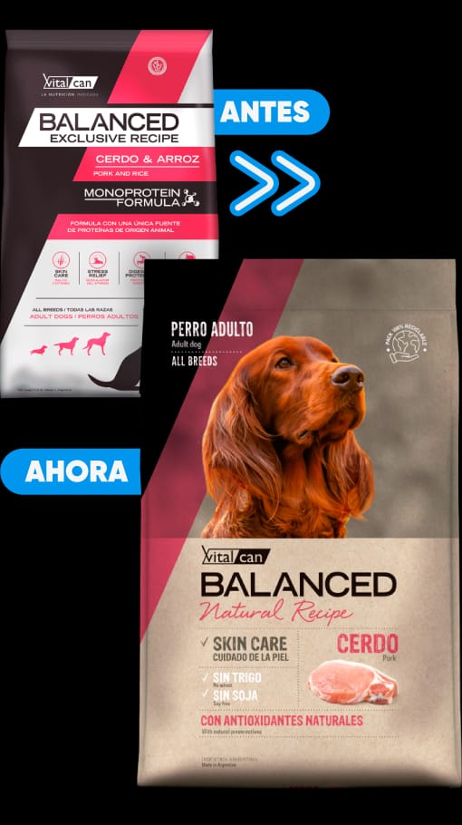 Balanced Perro Adulto Exclusive Recipe Cerdo y Arroz 15 kg
