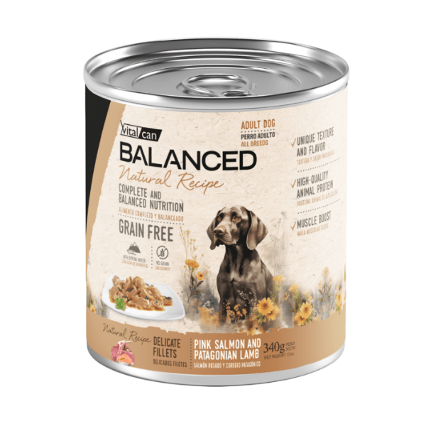 Balanced Lata Natural Recipe Salmon y Cordero GRAIN FREE (Humedo) 340g