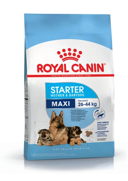 Royal Canin Maxi Starter 10kg
