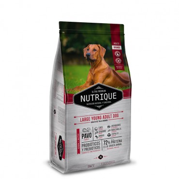 Nutrique Large Young Adult 15Kg