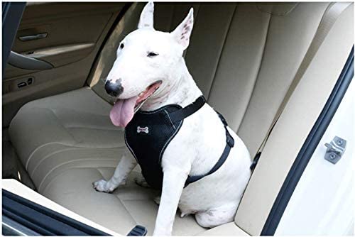 Chaleco y Arnés con Cinturón de seguridad de coche para Perro Talla &quot;XL&quot;