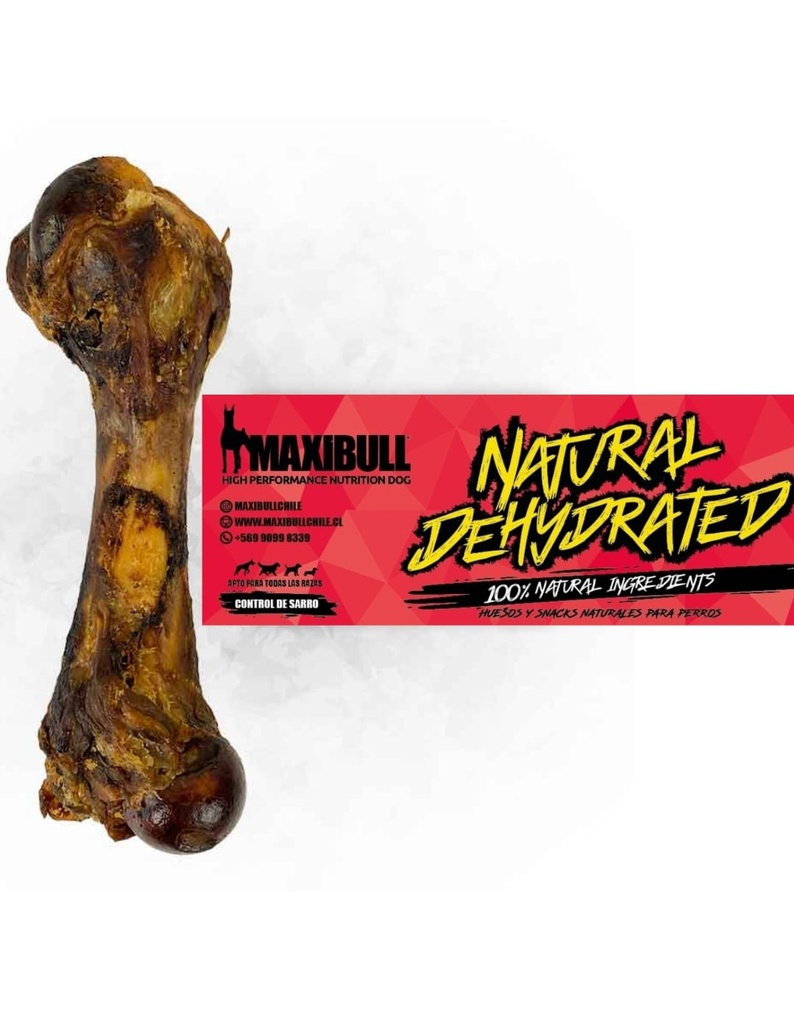 Femur de CERDO MaxiBull