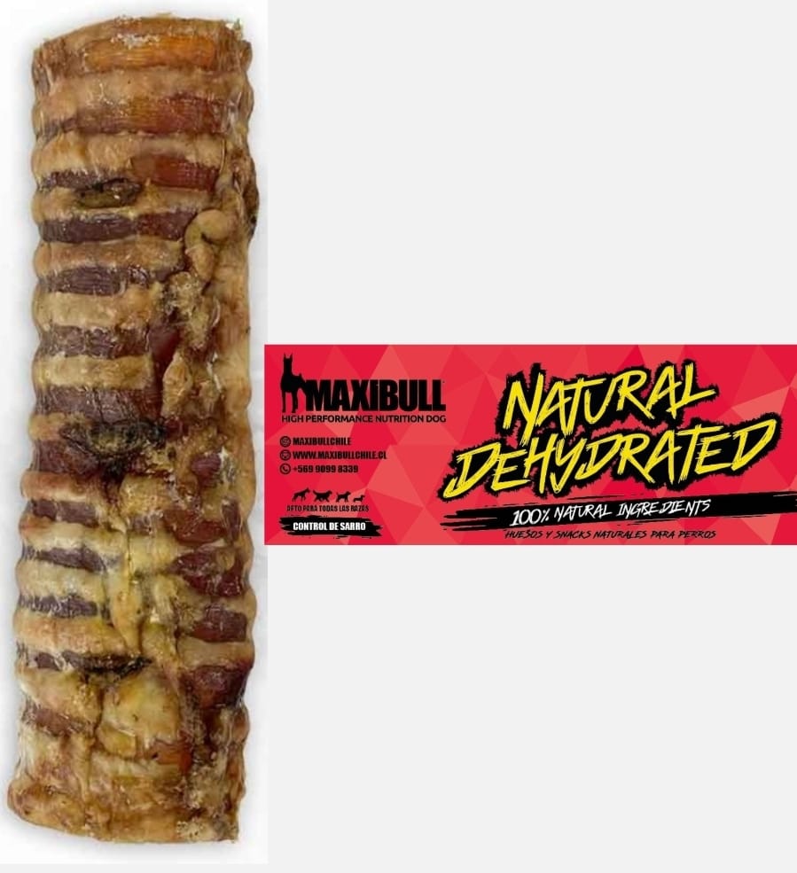 Traquea de Vacuno 12" MaxiBull