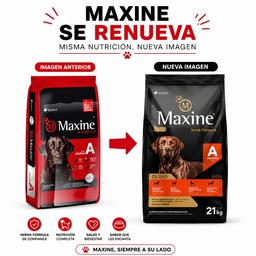 [MAXADU21] Maxine Adulto 21kg