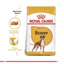 Royal Canin Boxer Adulto 12 Kg