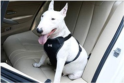[PD20016-BK-XL] Chaleco y Arnés con Cinturón de seguridad de coche para Perro Talla &quot;XL&quot;
