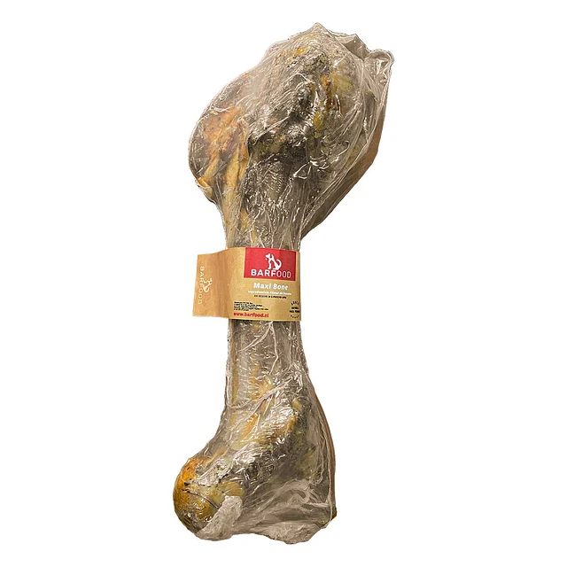 Femur de Vacuno Maxi Bone (Hueso Snack)